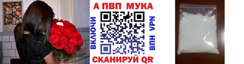 A PVP СК  Магадан 