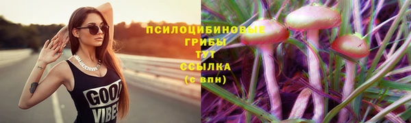 2c-b Кодинск