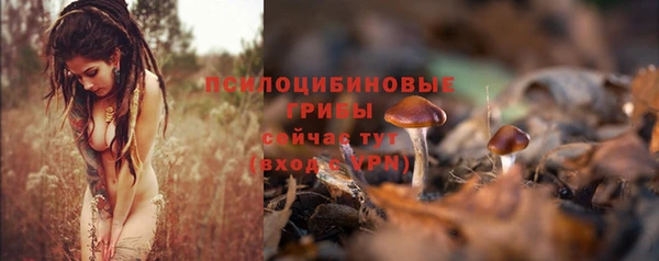 MDMA Premium VHQ Козельск