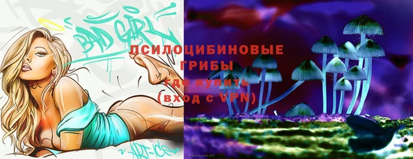 2c-b Кодинск