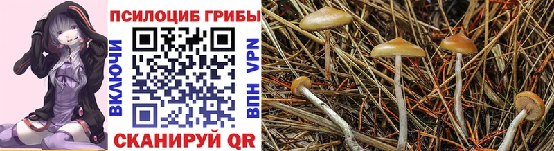 Галлюциногенные грибы мицелий  мориарти телеграм  Магадан 
