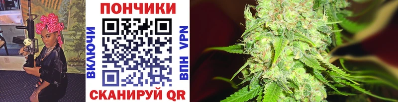 что такое   Магадан  Бошки Шишки VHQ 